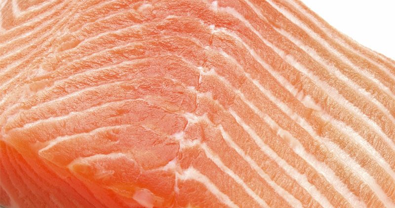 Fisk er en vigtig kostkilde